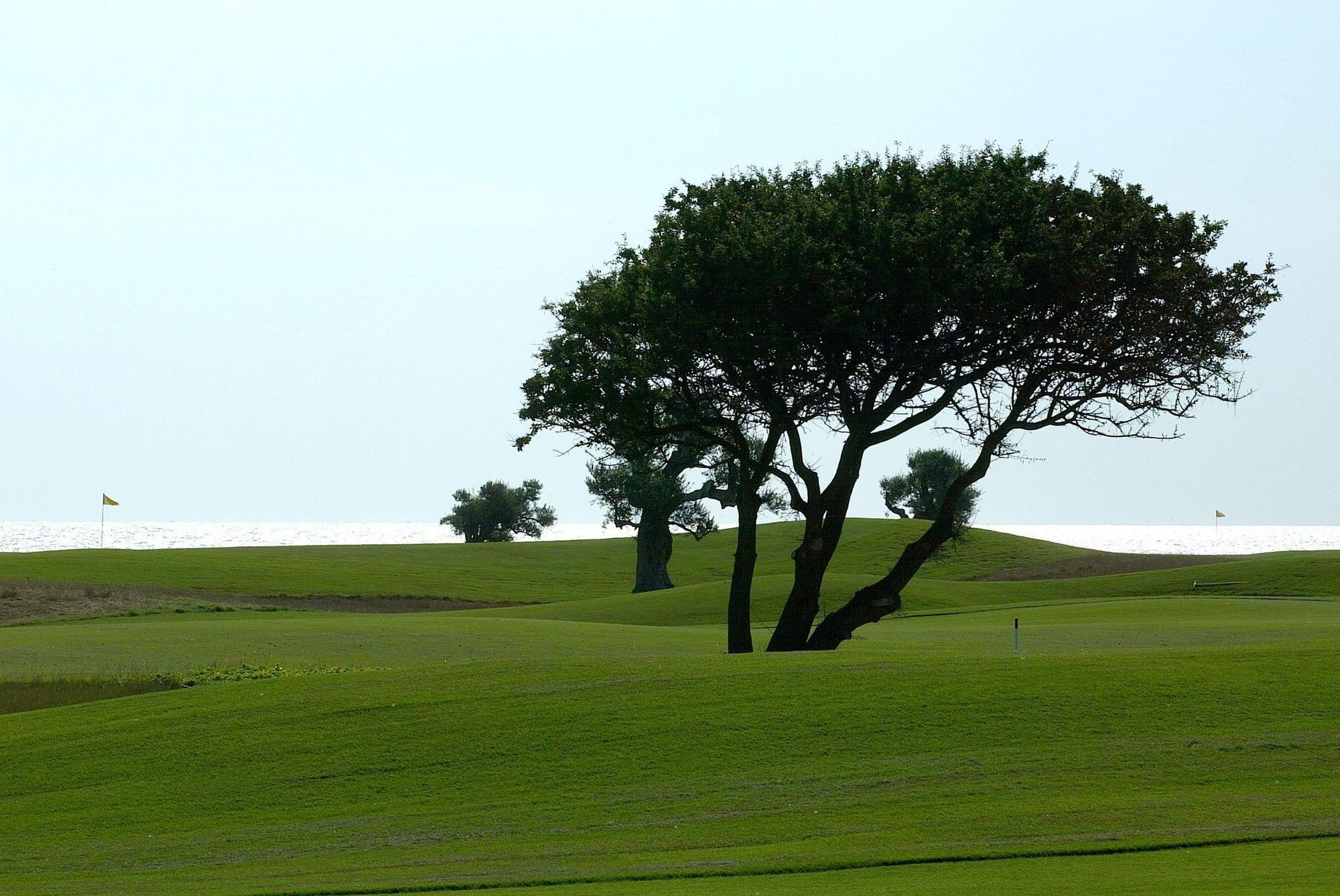 Masseria San Domenico Savelletri Buitenkant foto